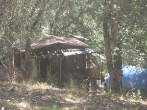 cabin pre roof