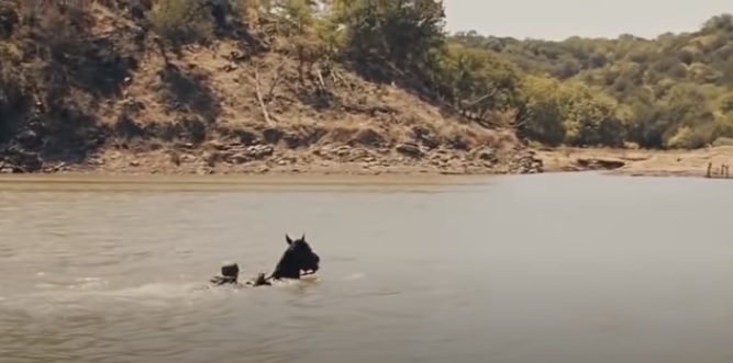 girl and horse crossing river